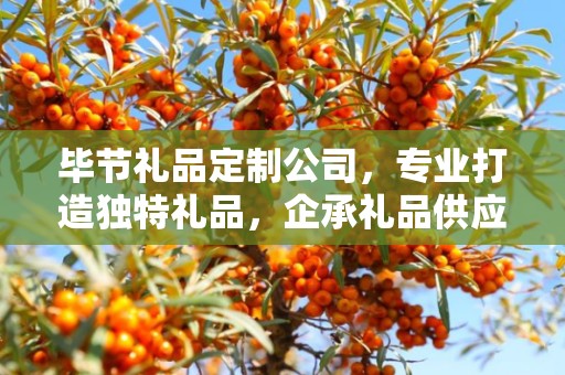毕节礼品定制公司，专业打造独特礼品，企承礼品供应链卓越服务