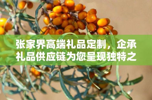 张家界高端礼品定制，企承礼品供应链为您呈现独特之选