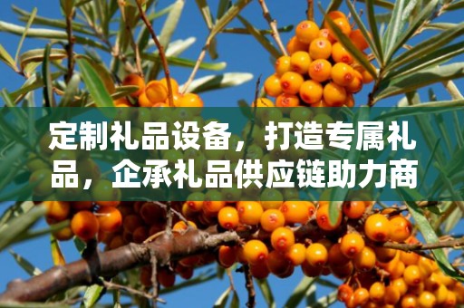 定制礼品设备，打造专属礼品，企承礼品供应链助力商务发展